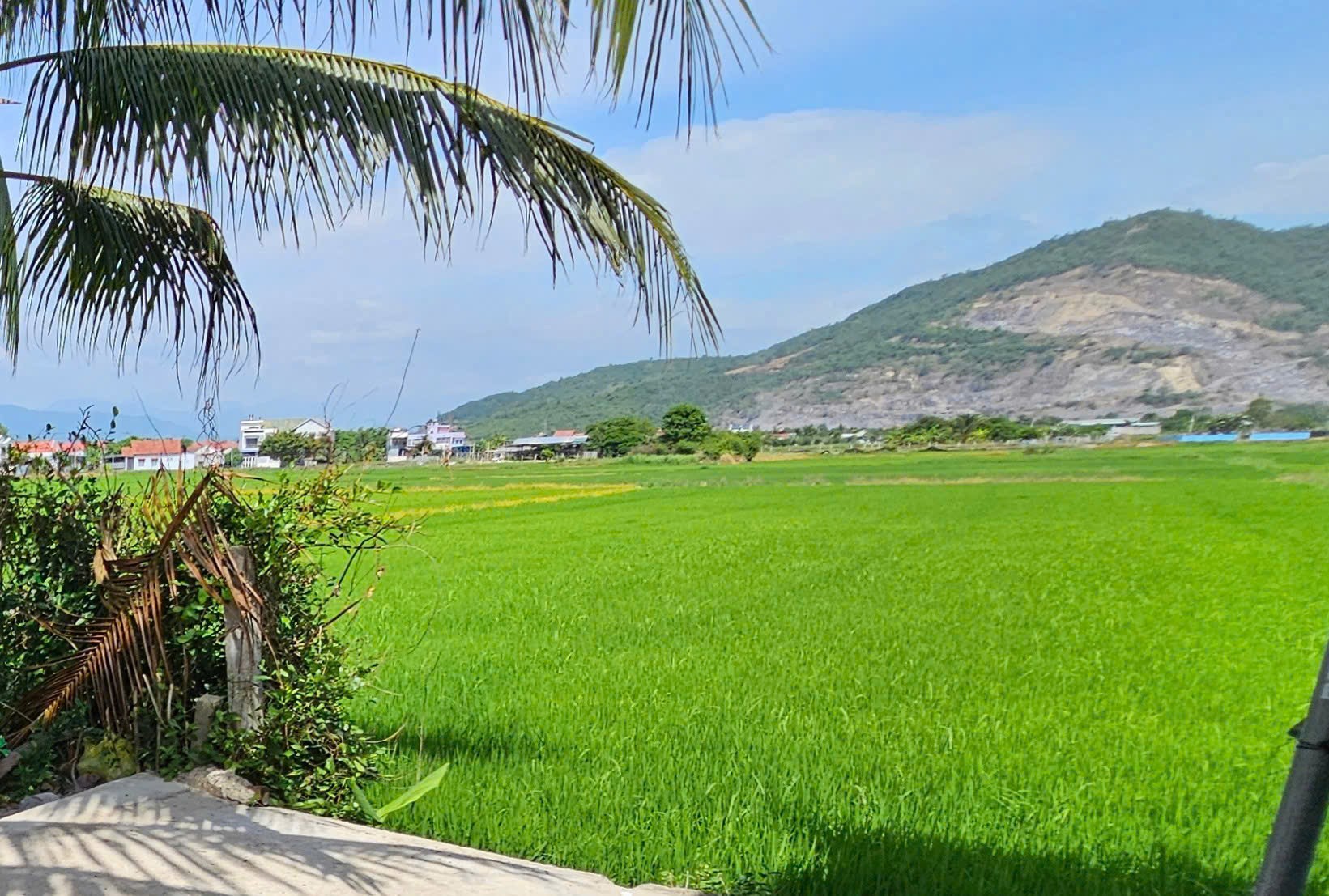 Bán nhà Diên Sơn mới xây full thổ cư mặt đường Xóm Gò 7 - view cánh đồng mát mẻ 3