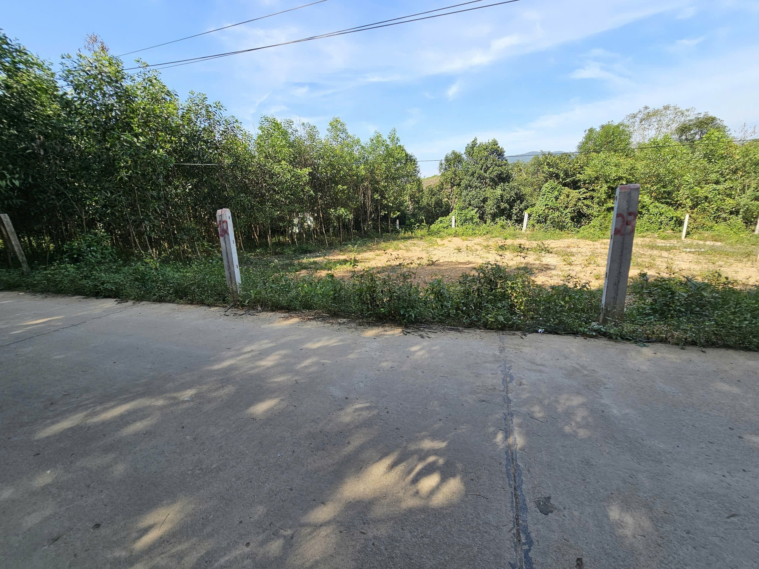 Bán đất Khánh Đông giá rẻ có thổ cư đường thông sát bên Tỉnh Lộ 8 2