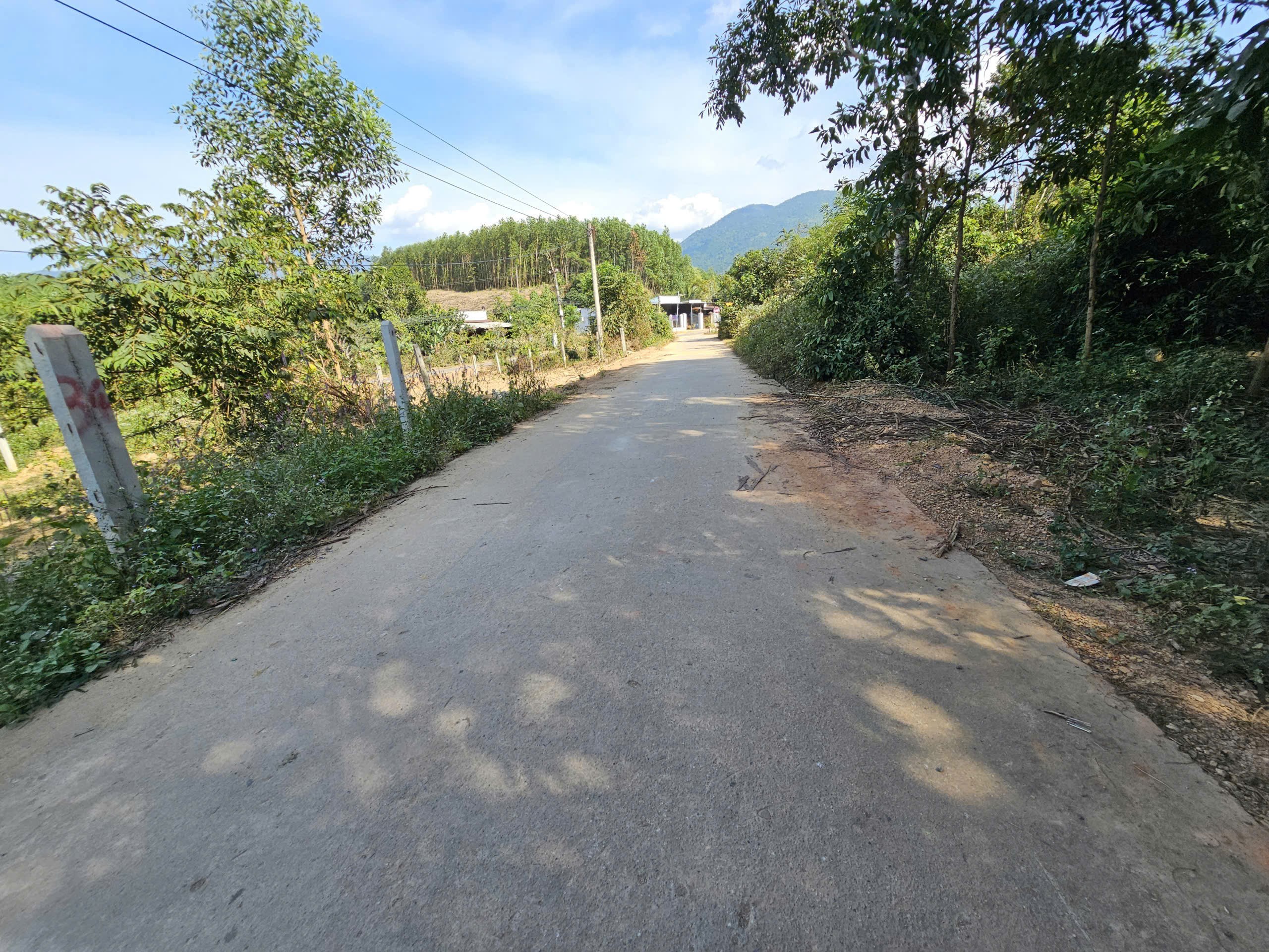 Bán đất Khánh Đông giá rẻ có thổ cư đường thông sát bên Tỉnh Lộ 8 4