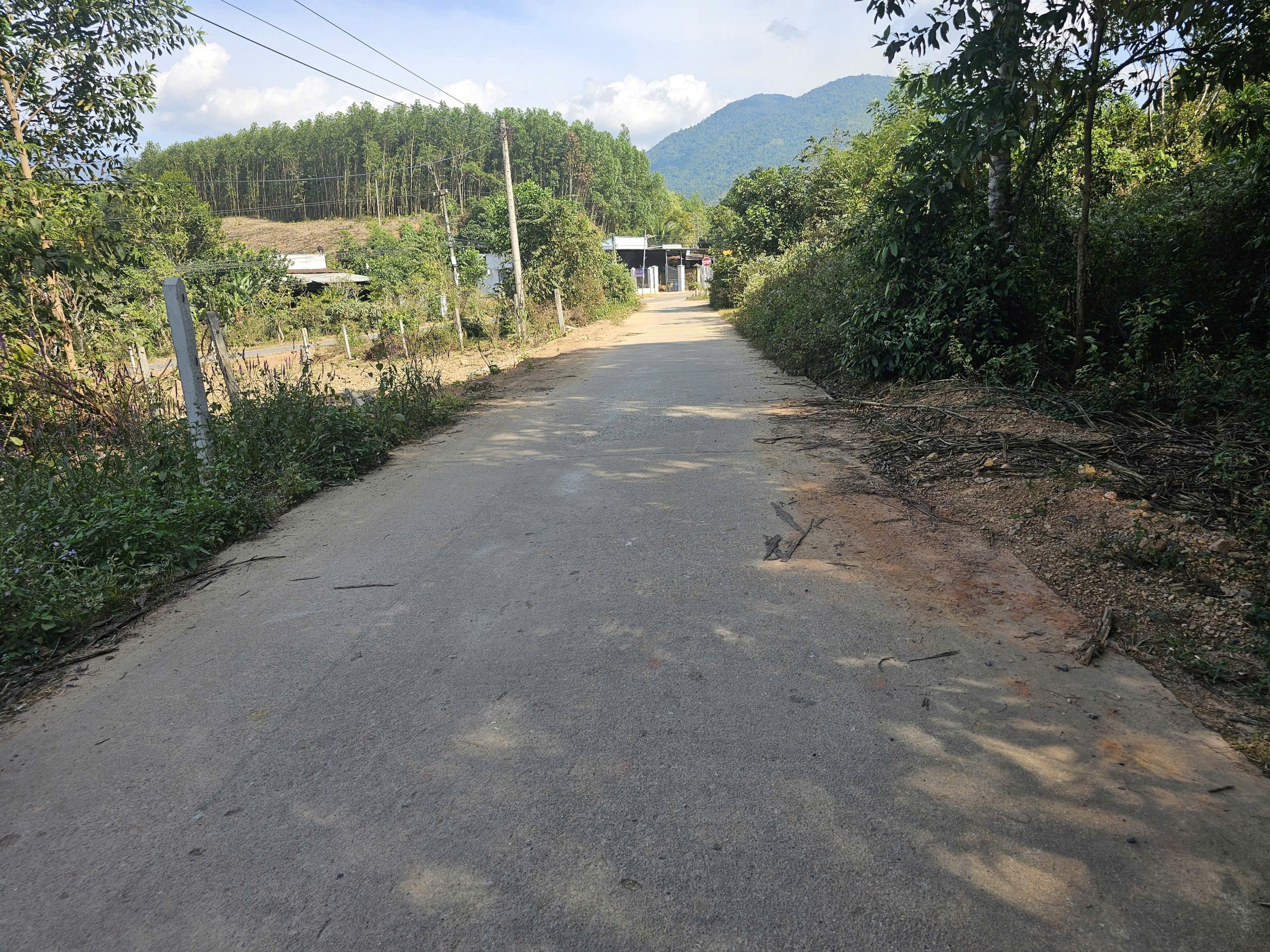 Bán đất Khánh Đông giá rẻ có thổ cư đường thông sát bên Tỉnh Lộ 8 5