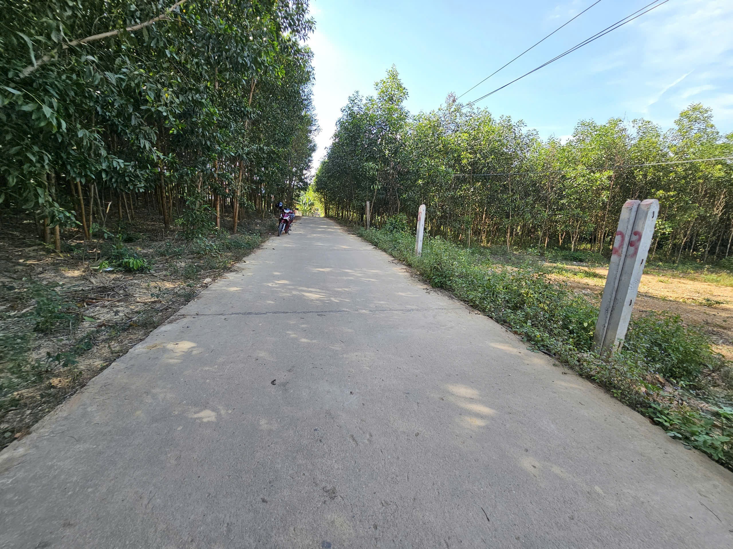 Bán đất Khánh Đông giá rẻ có thổ cư đường thông sát bên Tỉnh Lộ 8 6