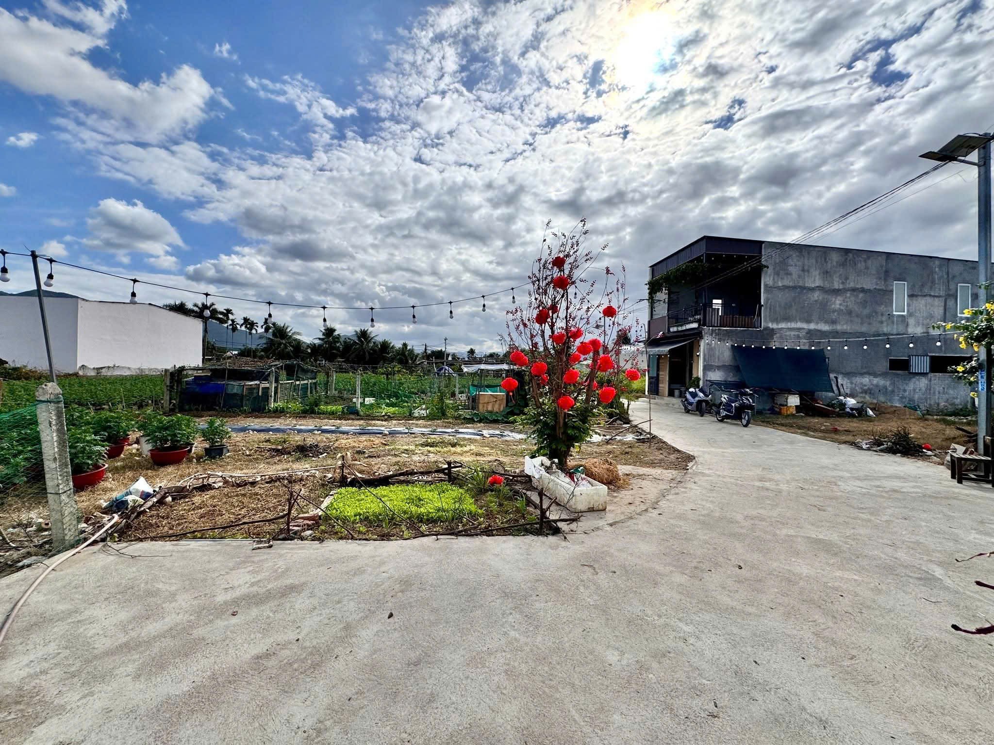 Bán đất Diên Toàn thôn Đông Dinh giá rẻ cạnh bên trục đường Nguyễn Trãi