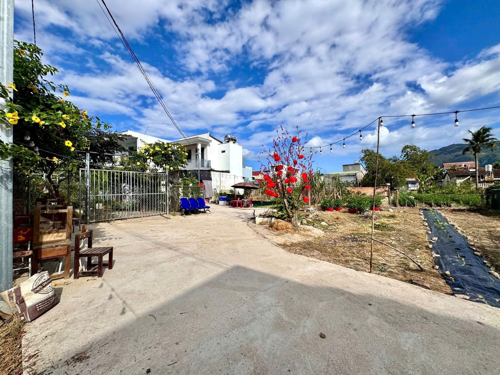 Bán đất Diên Toàn thôn Đông Dinh giá rẻ cạnh bên trục đường Nguyễn Trãi 2