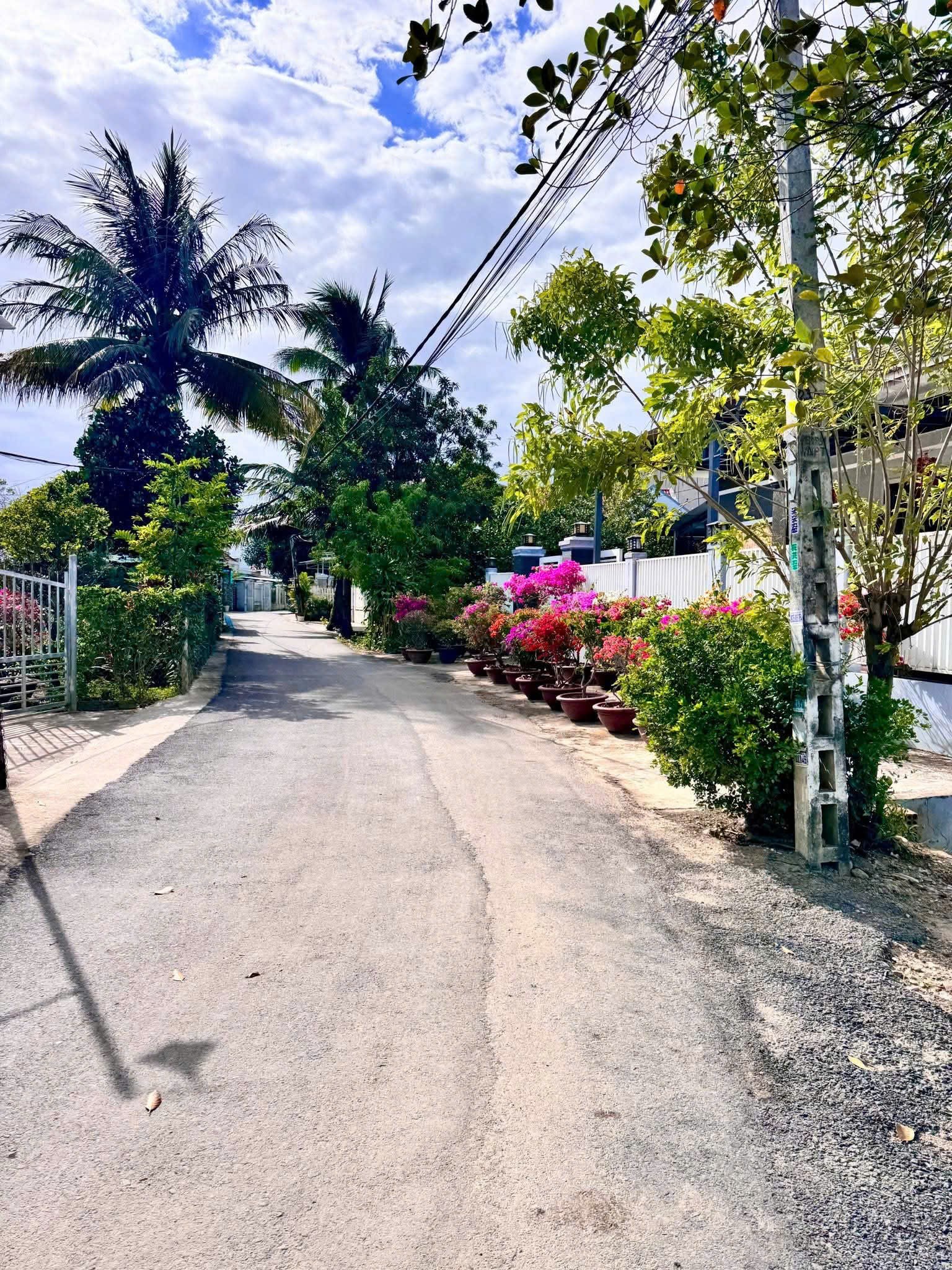 Bán đất Diên Toàn thôn Đông Dinh giá rẻ cạnh bên trục đường Nguyễn Trãi 4