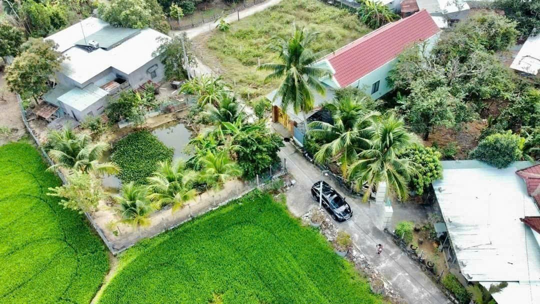 Bán đất Bình Lộc thôn Nghiệp Thành - nguồn gốc đất dân cắt bán view cánh đồng lúa mát mẻ 10