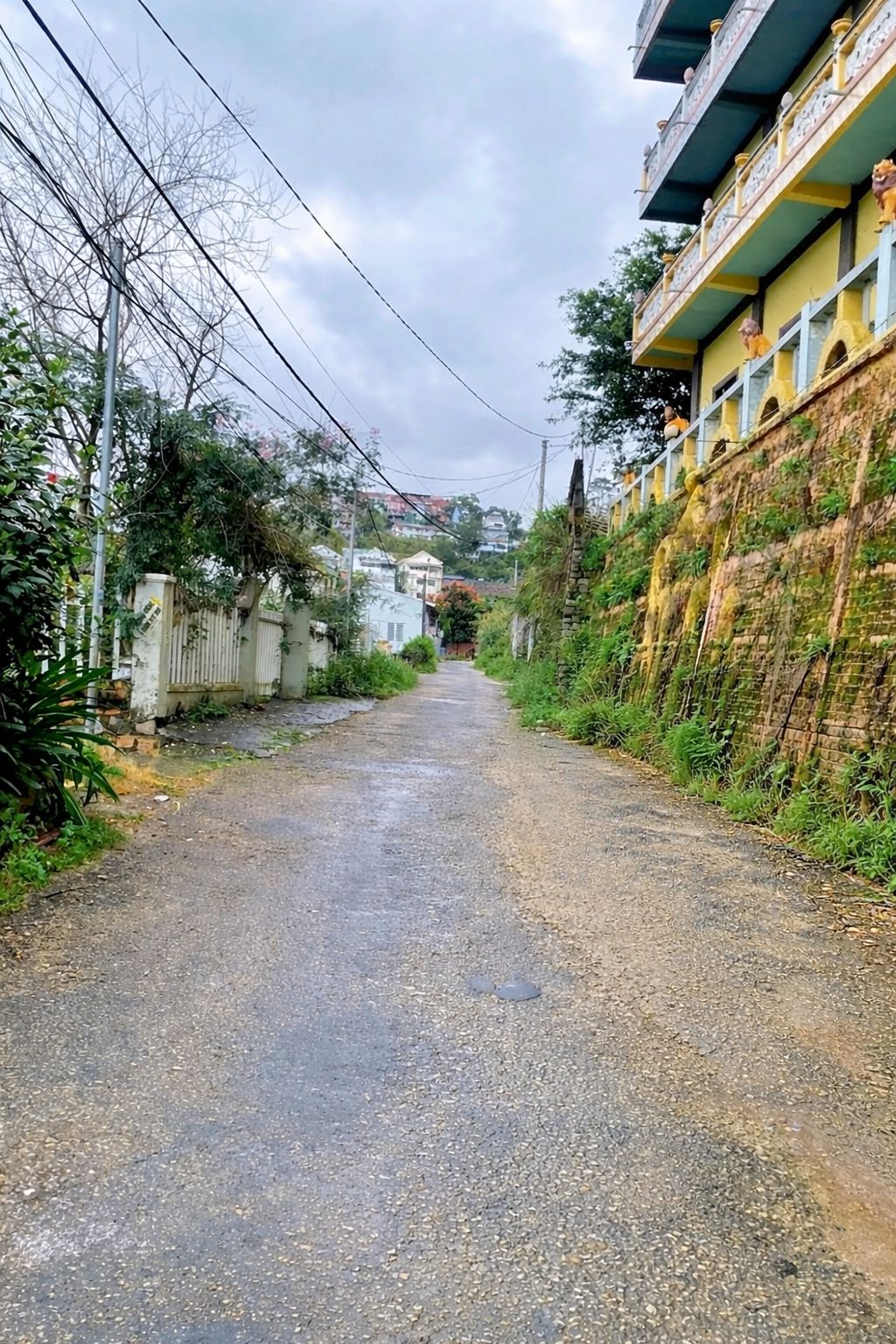 Cần Tiền Bán Đất Xây Dựng Đường Khe Sanh, Đà Lạt 108m2 Giá 3.1 Tỷ