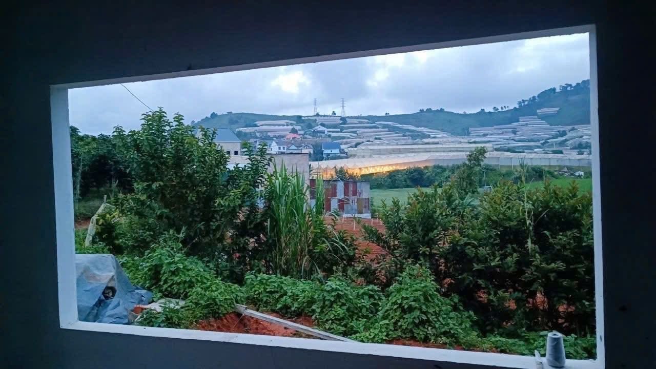 Hạ Giá Bán Lô Đất Rộng View Thoang Khu Lạc Dương View LangBiAng 941m2 Giá 7 Tỷ 3