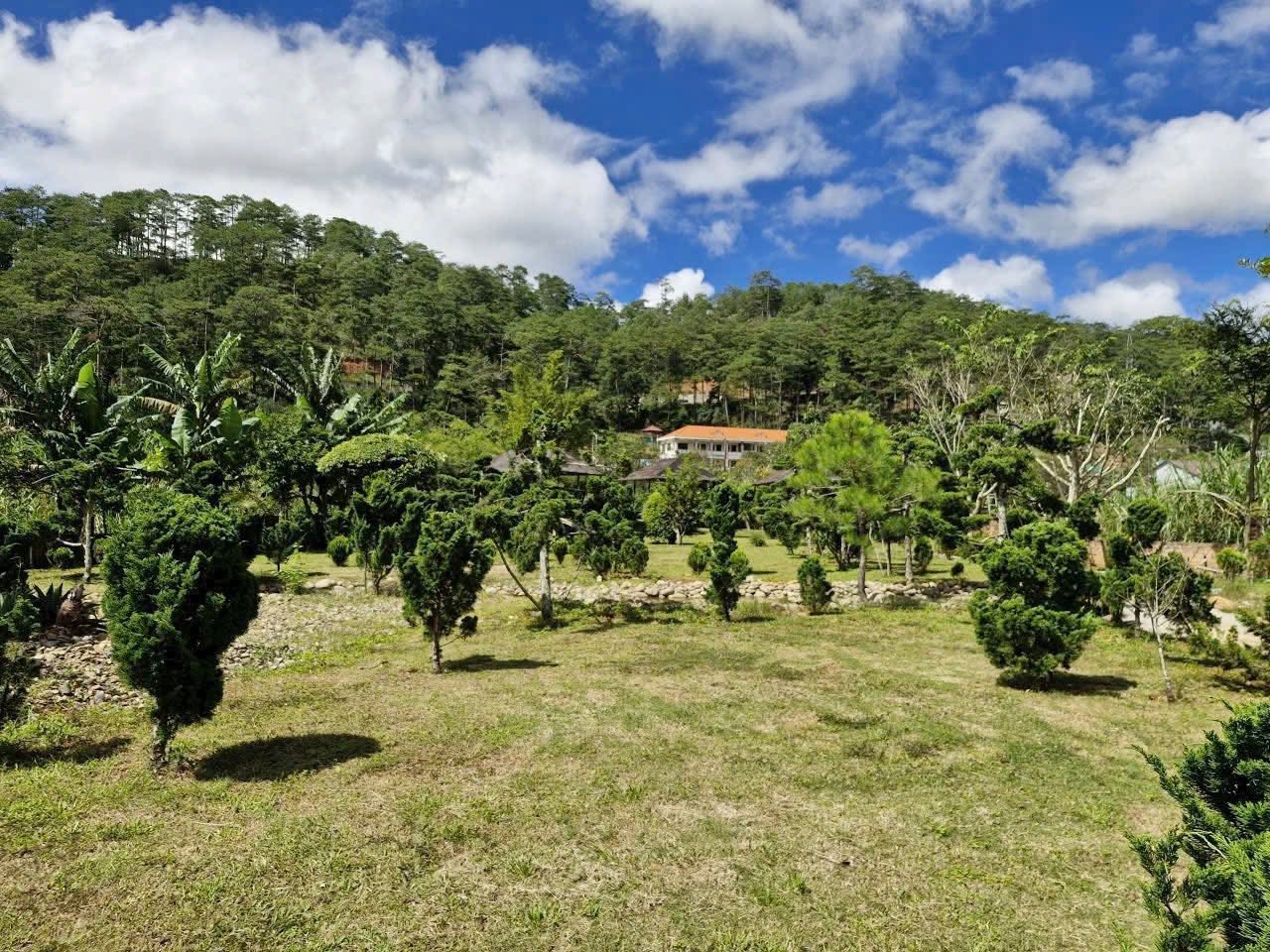 Cần Bán Lô Đất Rộng View Đẹp 19.000m2 Mặt Tiền Mimoza, Đà Lạt 2