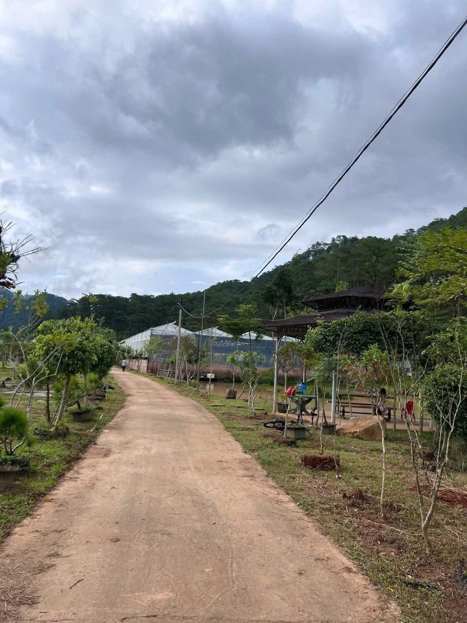 Cần Bán Lô Đất Rộng View Đẹp 19.000m2 Mặt Tiền Mimoza, Đà Lạt 4