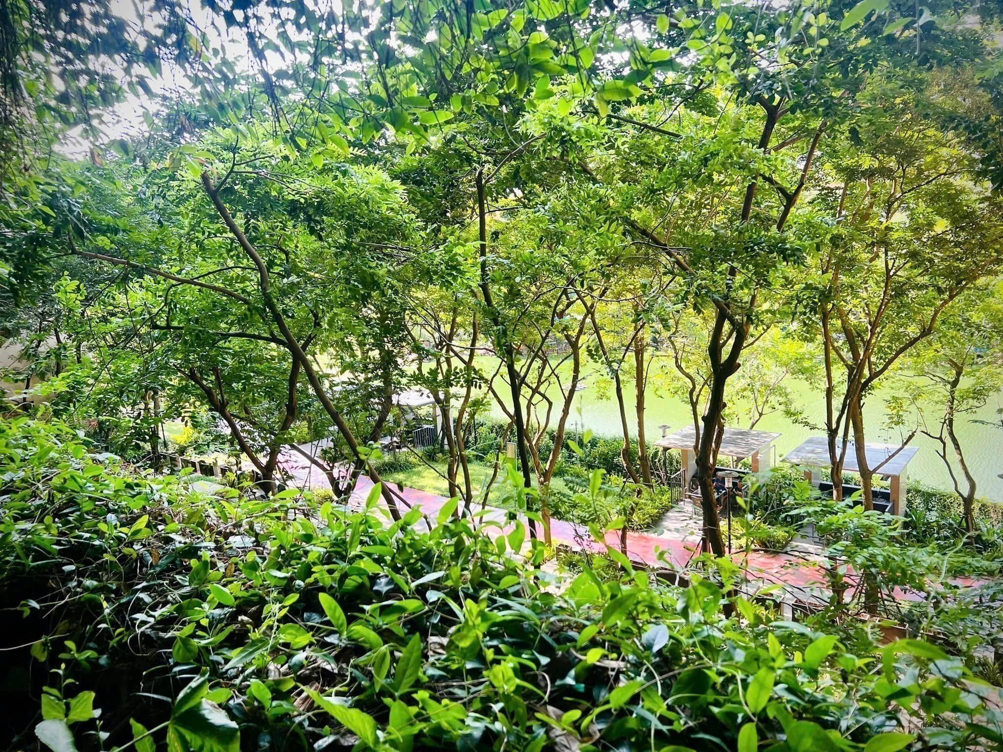 Bán căn hộ 3PN - 116m2 tầng trung Mulberry Lane, giá 8.5 tỷ 5