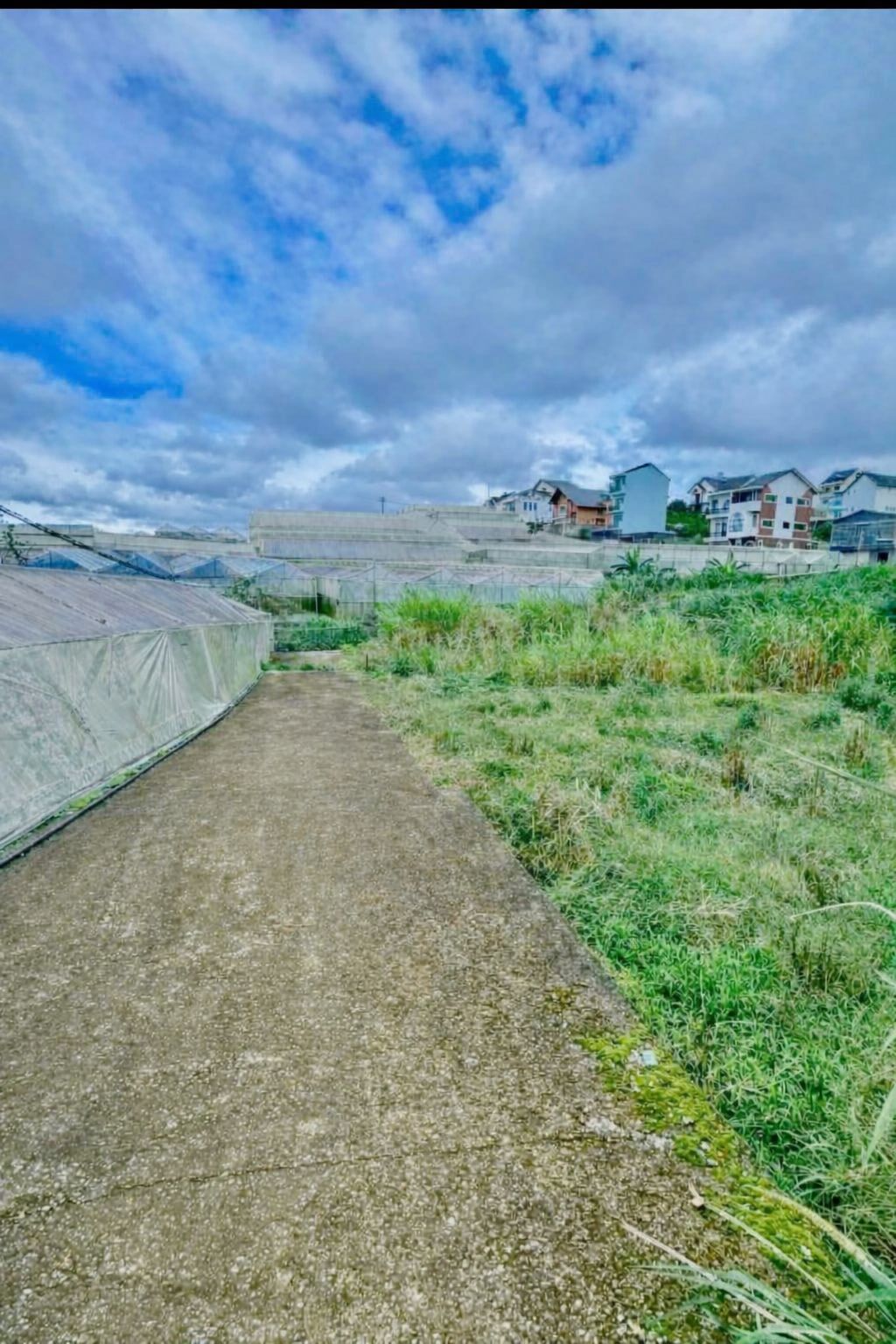 CẦN BÁN GẤP ĐẤT NỀN BIỆT THỰ ĐƯỜNG MAI XUÂN THƯỞNG, P. Lâm Viên – Đà Lạt Giá Chỉ 6,9 Tỷ