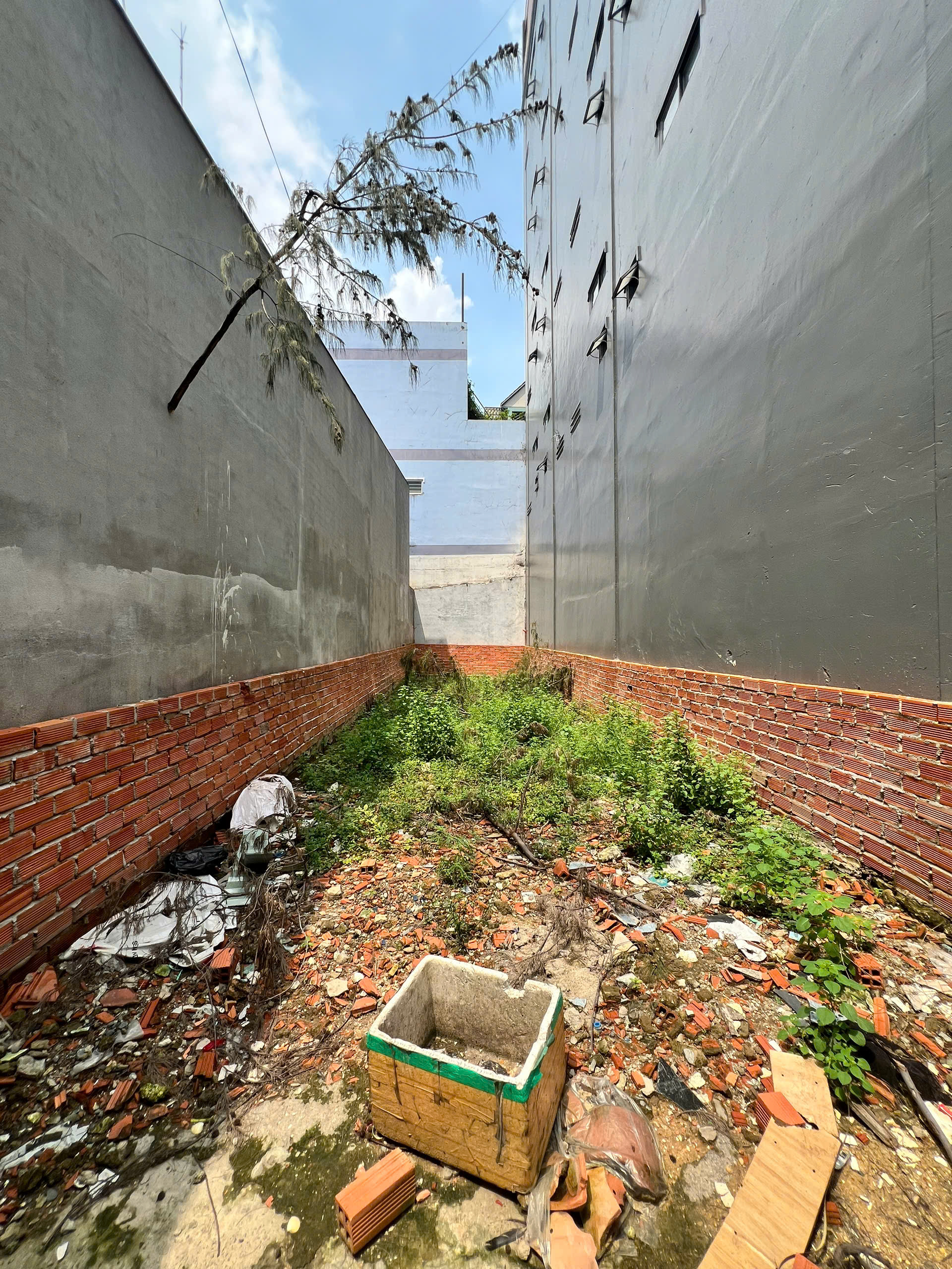 Cần bán Nhà ở, nhà cấp 4, nhà hẻm đường Phan Anh, Phường Hiệp Tân, Diện tích 76m², Giá 6.1 Tỷ