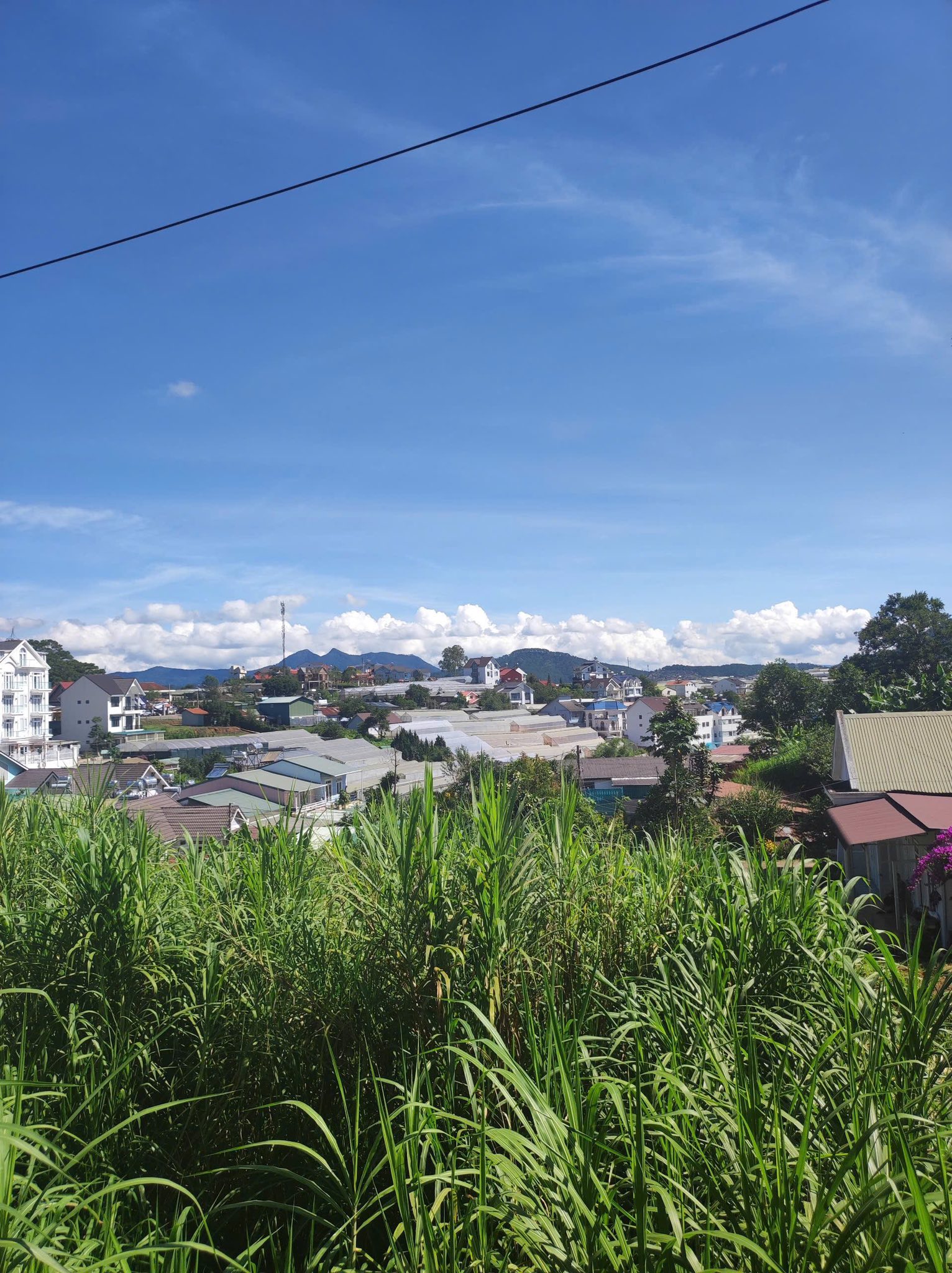 Giảm Giá Bán Gấp Lô Đất Biệt Thự Nam Hồ – Đà Lạt Giá 7.2 Tỷ Còn 6.3 Tỷ 3