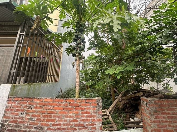 Cần bán Đất đường Liên Xã, Xã Phú Cát, Diện tích 110m², Giá Thương lượng