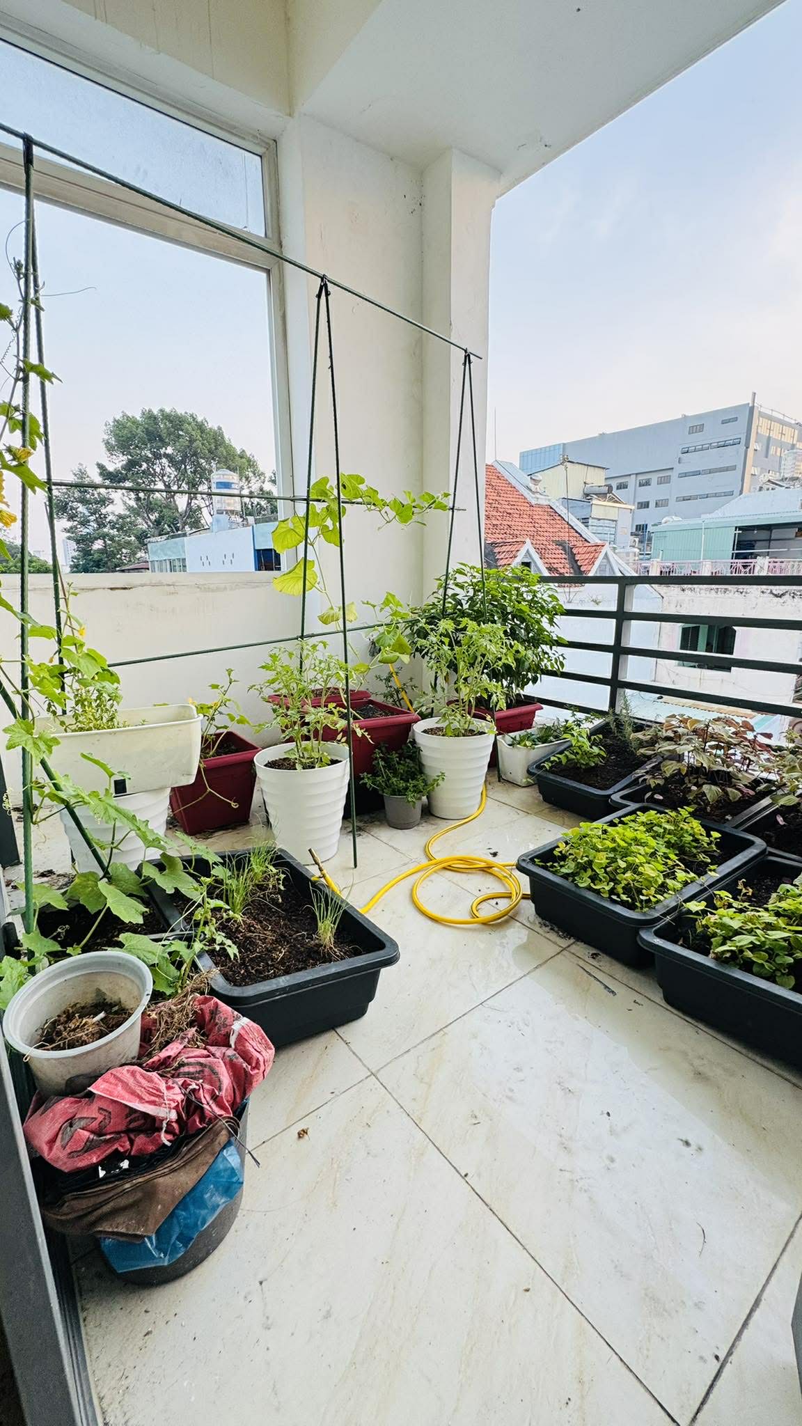 NHÀ ĐẸP 4 TẦNG HXH THÔNG - CƯ XÁ PHAN ĐĂNG LƯU - 74m2 (4.5×16.4) - 6 PN - 13.6 TỶ 13