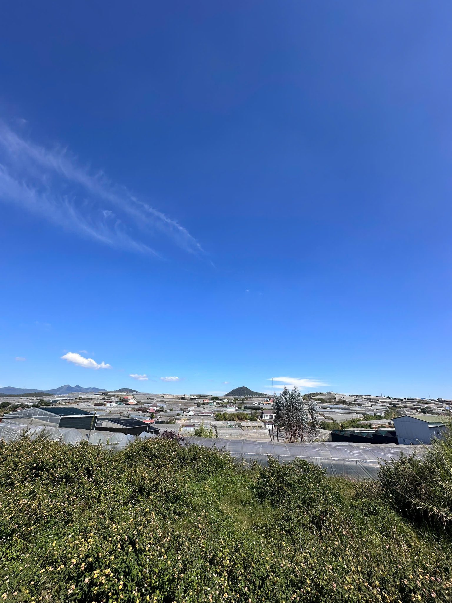 BÁN GẤP LÔ ĐẤT NỀN BIỆT THỰ VIEW THOÁNG ĐƯỜNG TRỊNH HOÀI ĐỨC, TP. ĐÀ LẠT 3