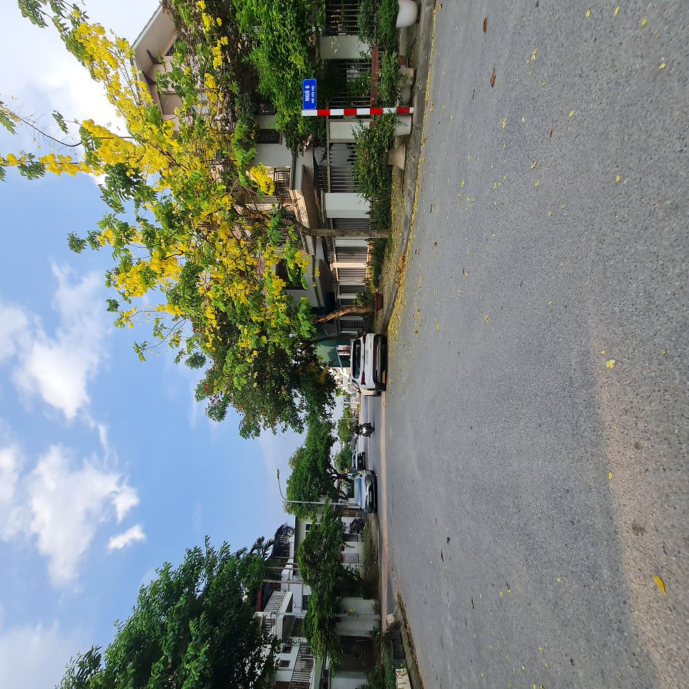 Mở bát 2026 với lô góc 60m2 Tđc Trâu Quỳ, đường 13m và 5m giá đầu tư tốt. Lh 0989894845 Tôi có lô đ 3