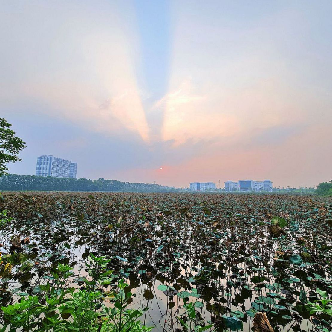 61m2 đất Tái định cư Trâu Quỳ, Gia Lâm. Mt 4m, đường 13m, giá đầu tư. Lh 0989894845 Cần bán gấp 2