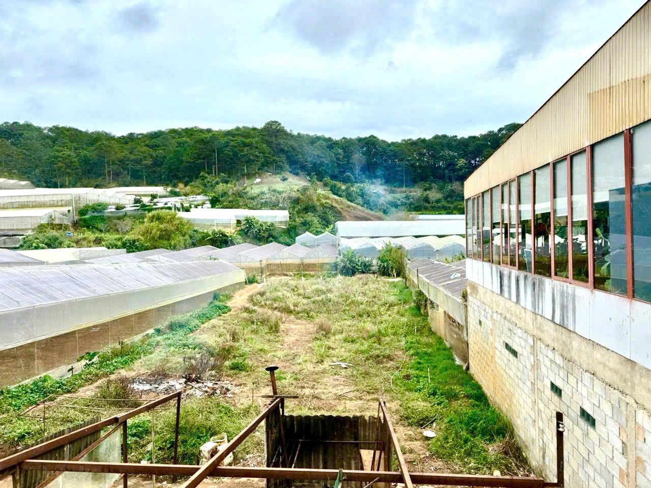 Kẹt Tiền Bán Gấp Đất Rộng Mặt Tiền Đường Triệu Việt Vương, Đà Lạt 1200m2 2