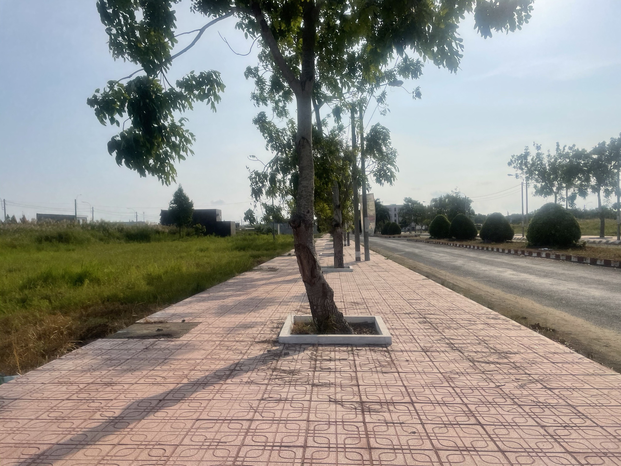 Chủ kẹt cần bán gấp 100m2 kdc Phước Đông xả lỗ 740tr 4