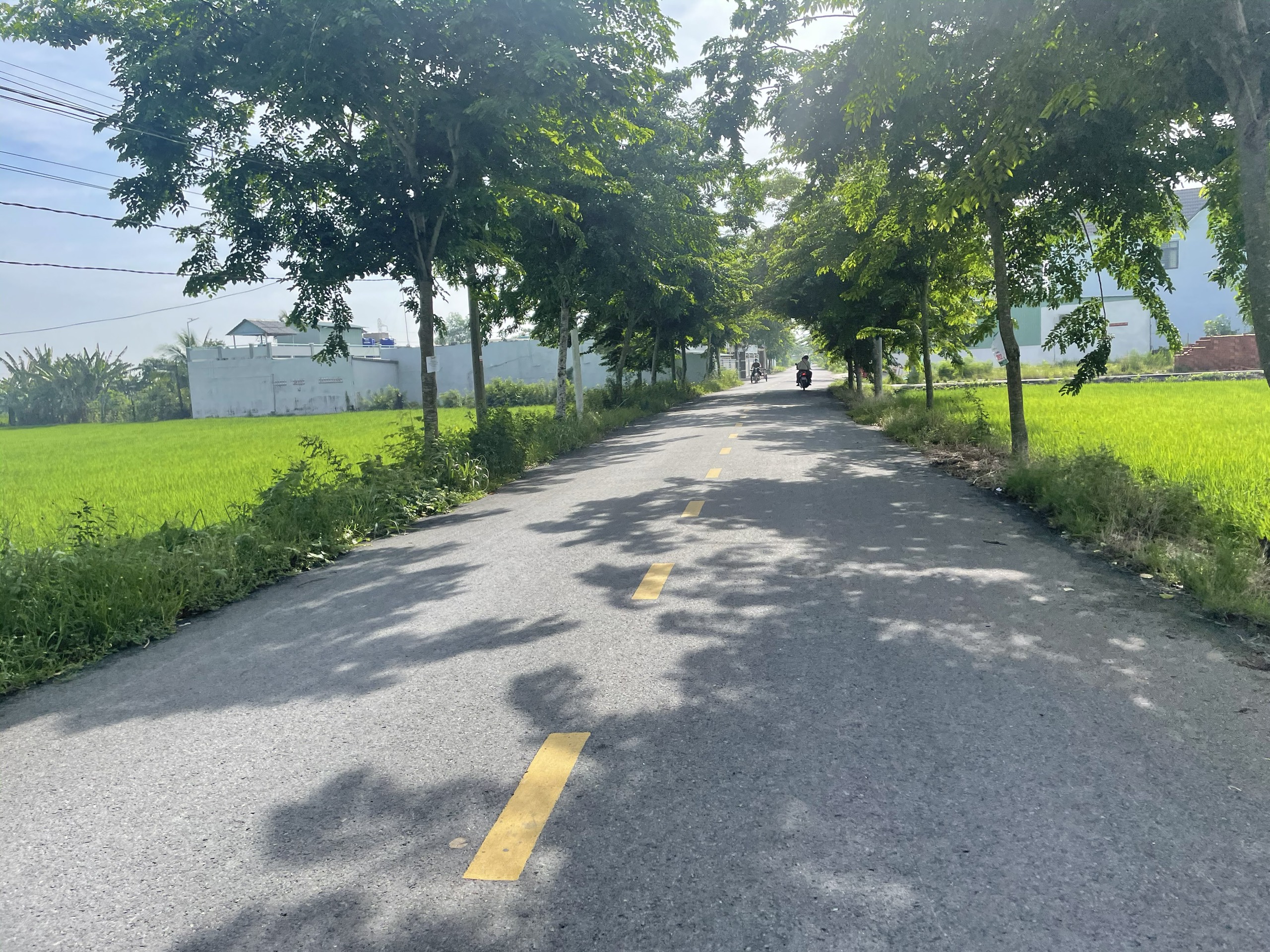 Đất nền đô thị 84m2 kdc 1B mt Chu Văn An xả cuối năm 890tr