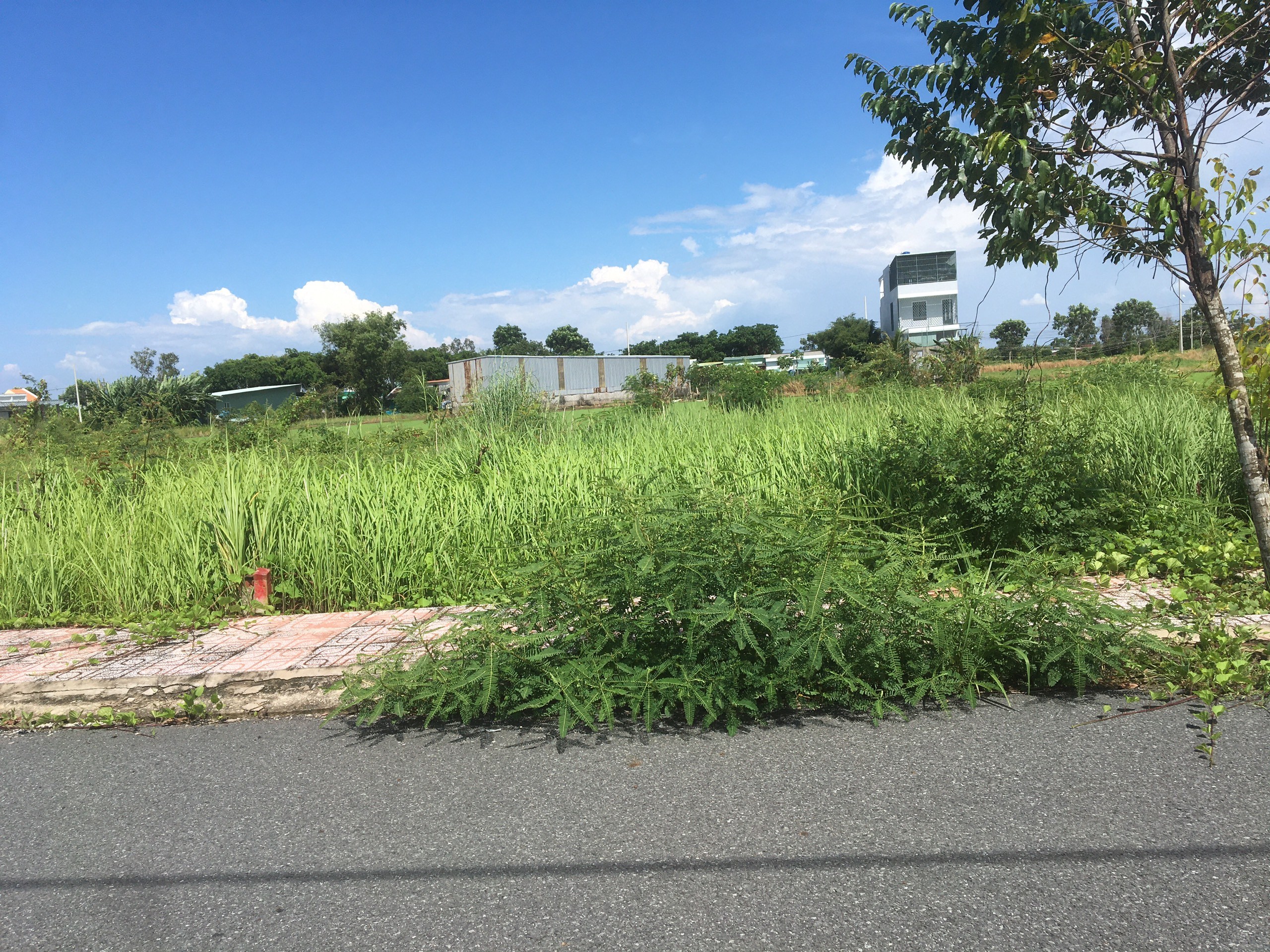 Đất nền 91,5m2 kdc Nam Phong Chủ ngộp cần bán gấp 700tr 4