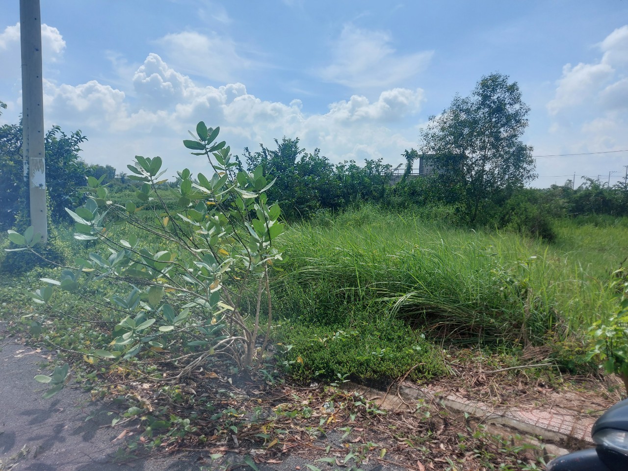 Hàng ngộp 118m2 kdc An Phú Chủ cần bán gấp 700tr bao rẻ đầu tư 2