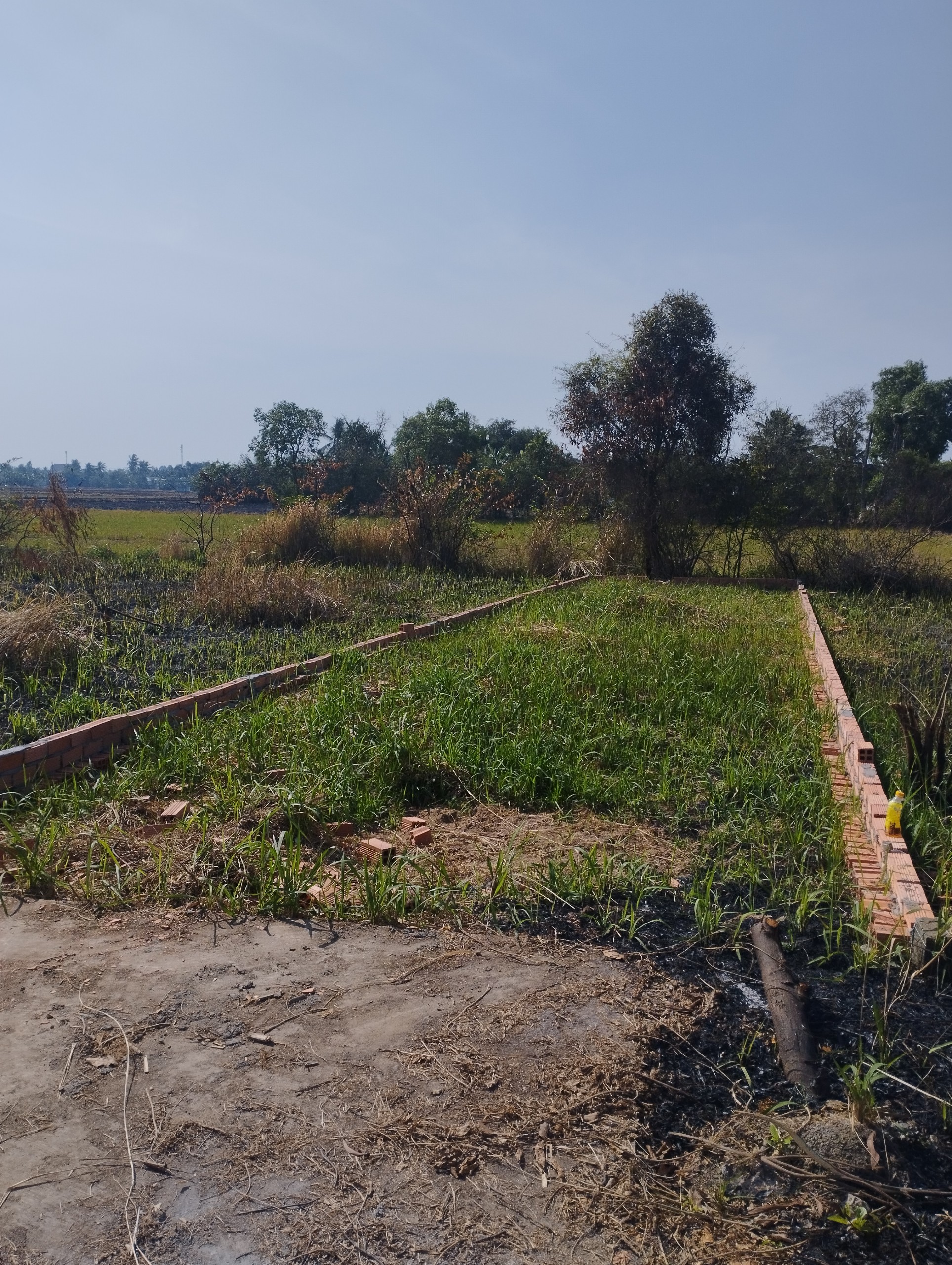 Chủ cần bán 90m2 kdc Nam Phong Dargon giá rẻ 800tr 5