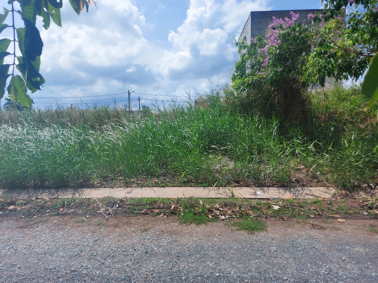 Nền đẹp 68m2 TĐC Phước Đông xả rẻ cuối năm 630tr 2