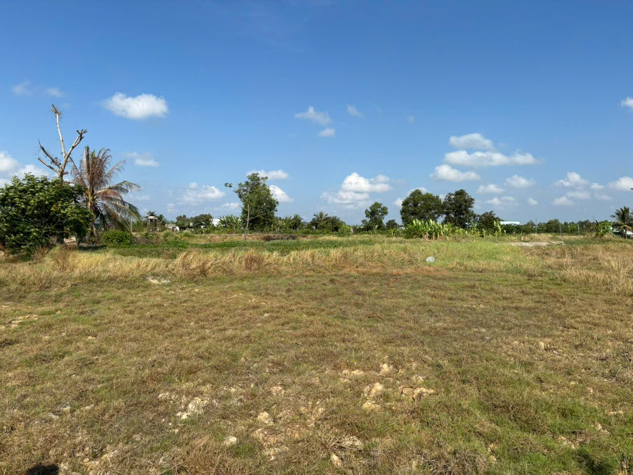 Đất lúa Óc Đảo Long Hựu 1000m2 giá rẻ đầu tư 400tr 3