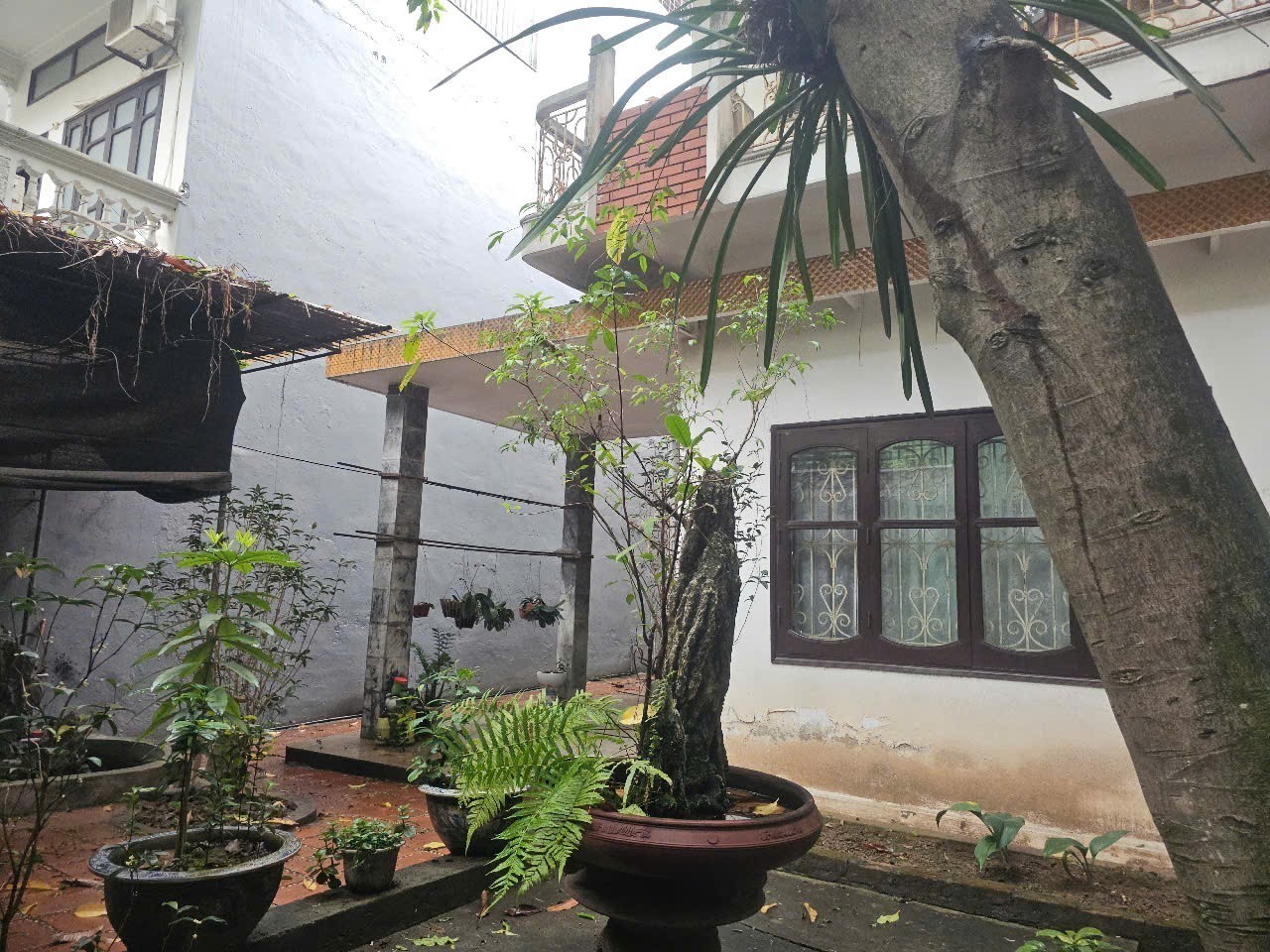 Cần bán Đất đường Nguyễn An Ninh, Phường Đồng Tâm, Diện tích 193m², Giá 24 Tỷ 5