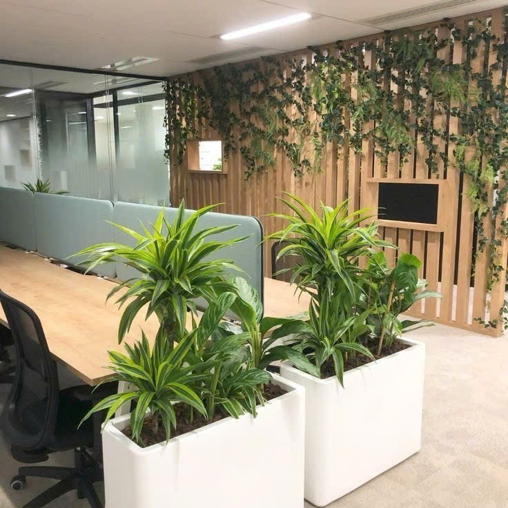 BÁN SÀN VĂN PHÒNG 43m² – LỘC NINH SINGASHINE 2