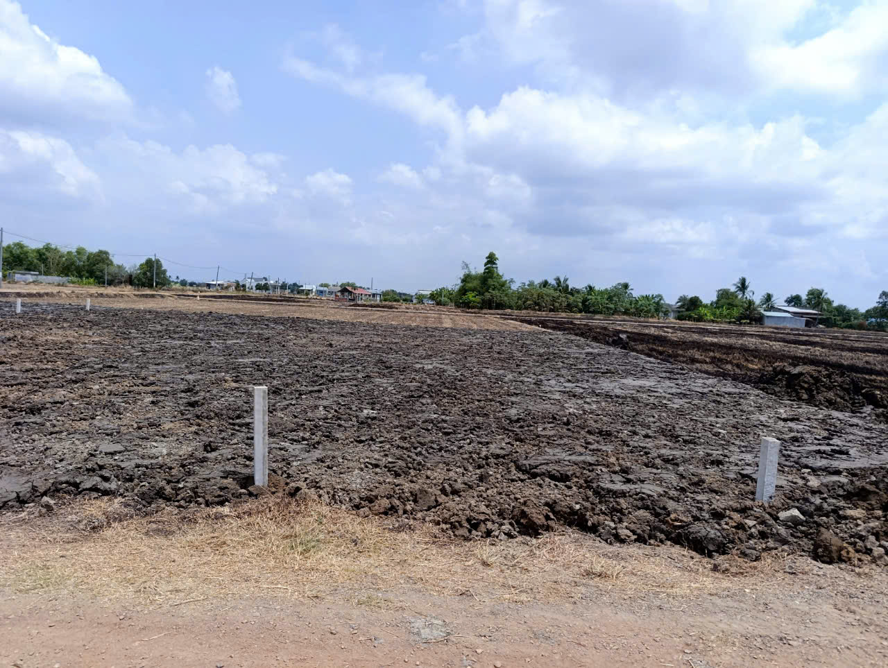 Đất thổ cư 180m2 mt đường 7m xã Phước Tuy xả cuối năm giá rẻ 850tr 4
