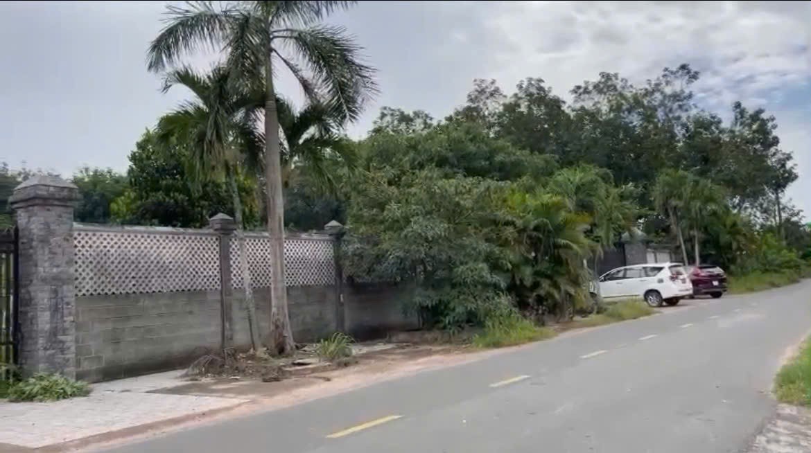 HÀNG TỐC ĐỘ – MT BẾN SÚC CỦ CHI ĐẤT SHR – MẶT TIỀN ĐƯỜNG BẾN SÚC, AN PHÚ 3