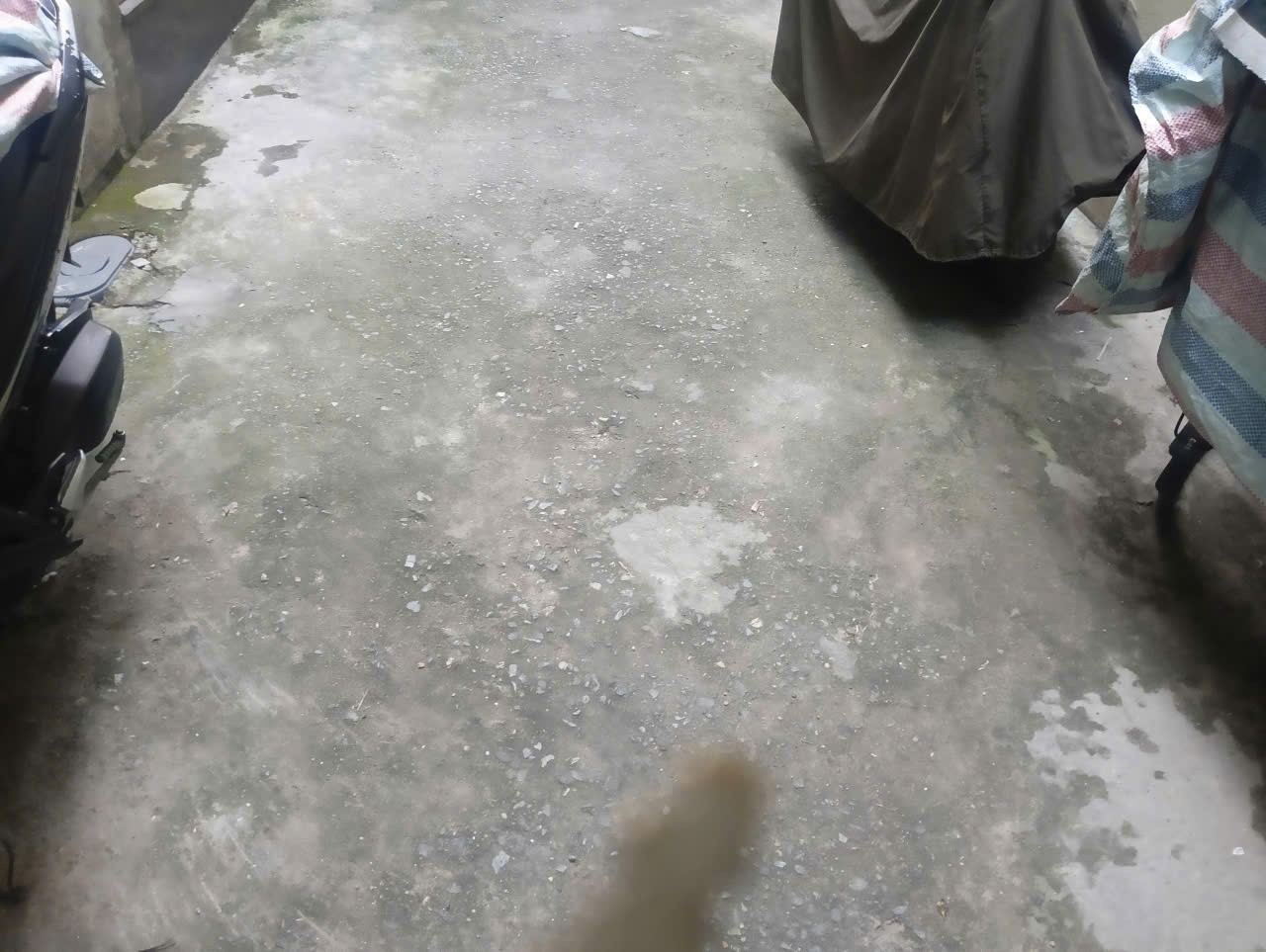 BÁN ĐẤT TẶNG NHÀ – VÕNG THỊ, TÂY HỒ – GIÁ TỐT -  Ngõ 8 Võng Thị – Tây Hồ – Hà Nội