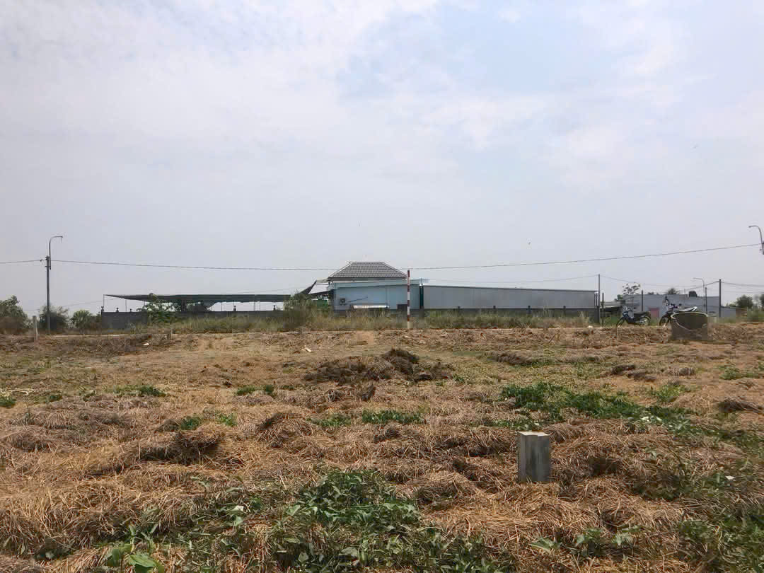 Đất nền thổ cư 114m2 mt xe hơi xã Tân Lân giá mua đầu tư 750tr/nền 3