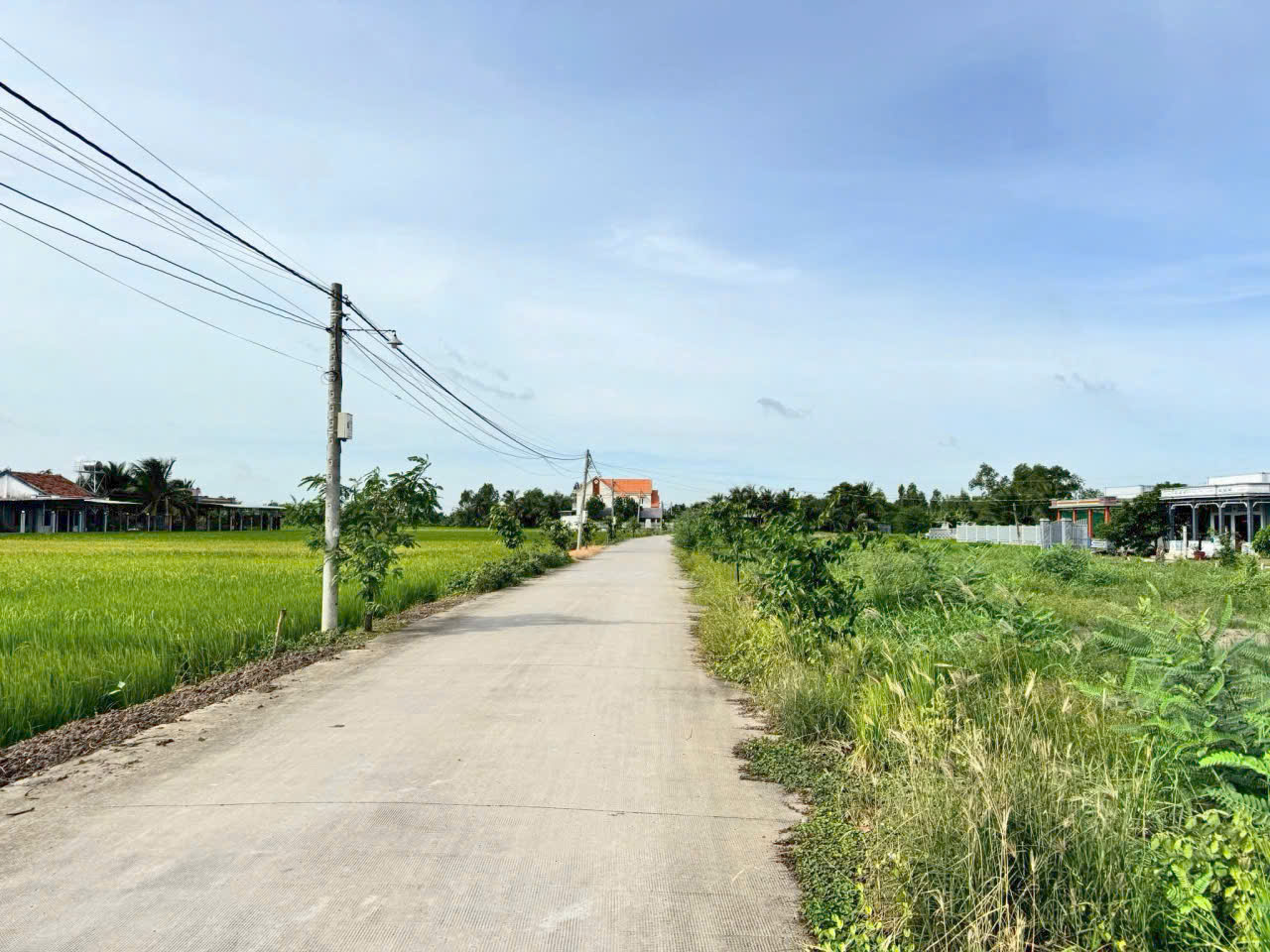 Đất thổ cư 250m2 mt đường xe hơi xã Tân Lân Chủ cần bán trước tết giá rẻ 1 tỏi 120tr 2