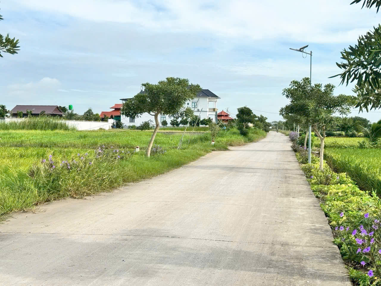 Đất thổ cư 250m2 mt đường xe hơi xã Tân Lân Chủ cần bán trước tết giá rẻ 1 tỏi 120tr 3