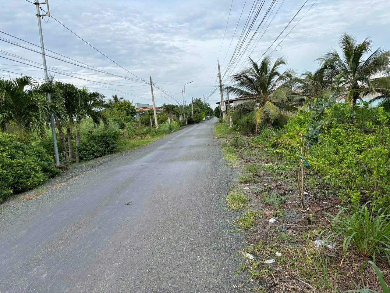 Mua đất tặng nhà cấp 4 mt đường nhựa 9m xã Long Hựu rẻ 950tr 2