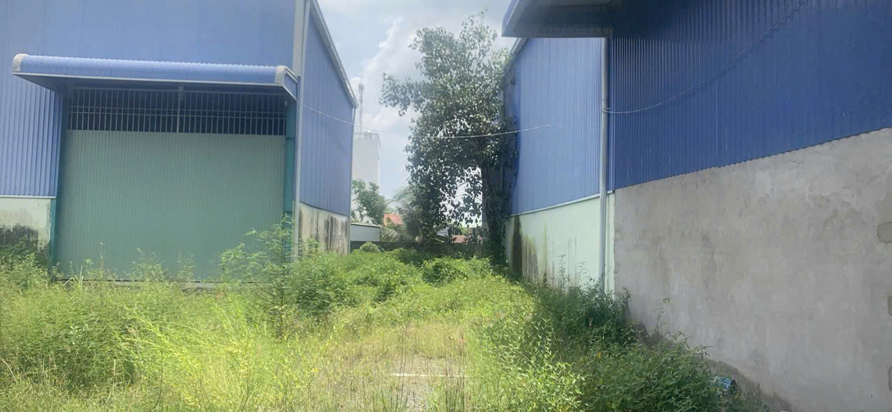 Bán nhà xưởng Tân Khánh, TP Tân An, 3000m2, full thổ, giá 36 tỷ 8
