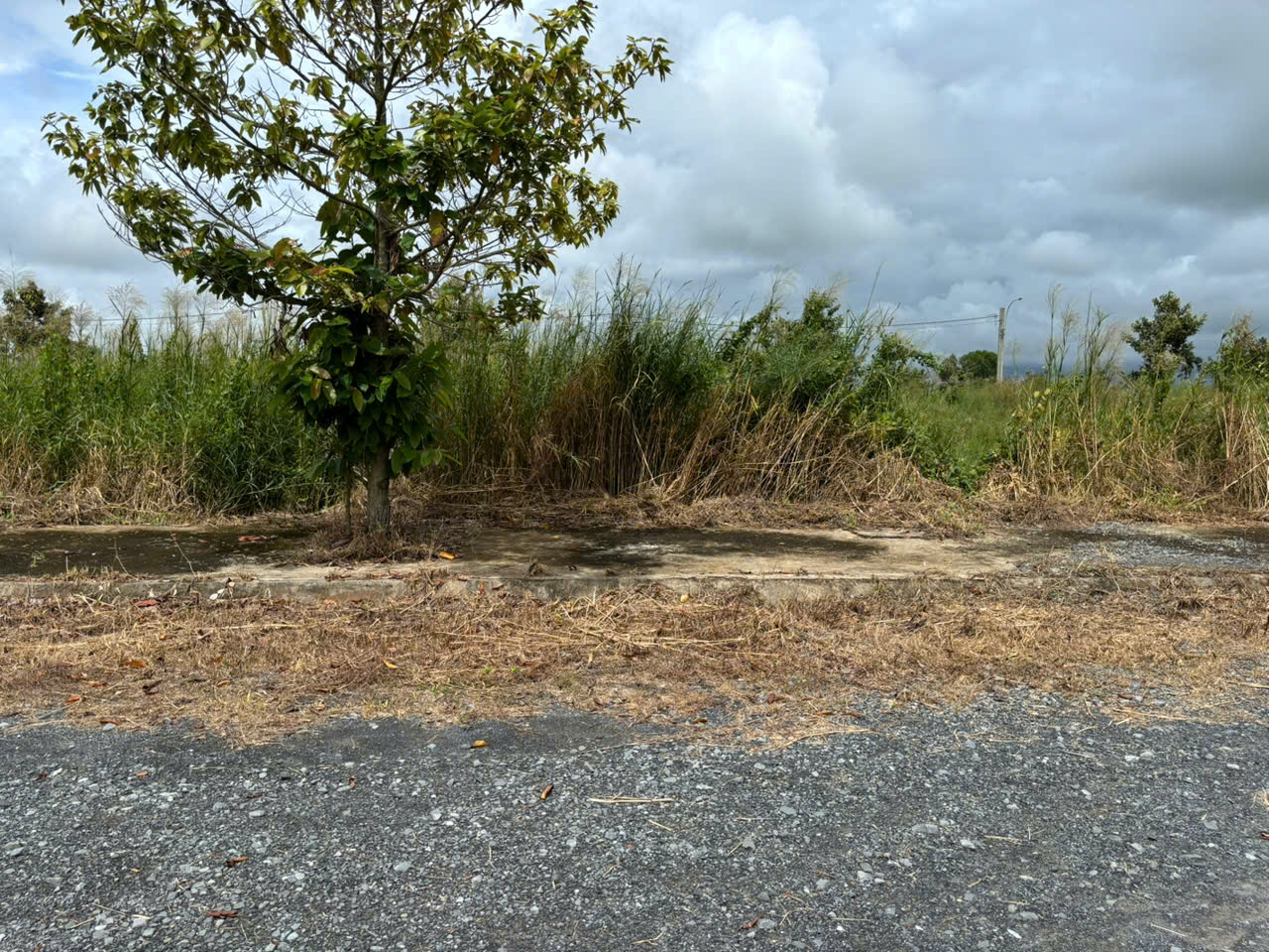 Đất nền kdc Phước Đông 100m2 chủ bán xả cuối năm 850tr 4