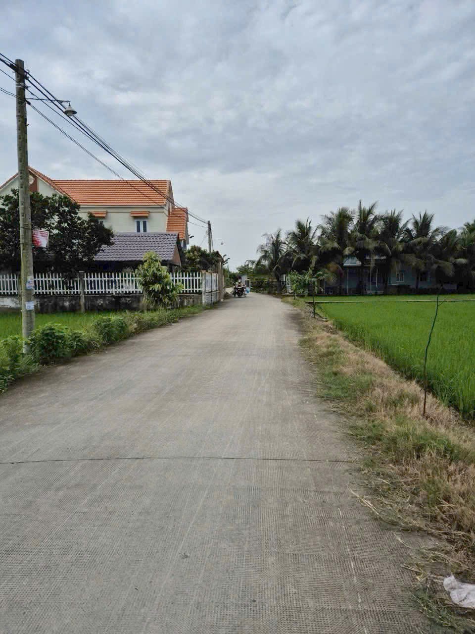 Đất thổ cư 722m2 mt xe hơi xã Tân Lân hàng phân lô giá rẻ đầu tư 2 tỏi 6 2