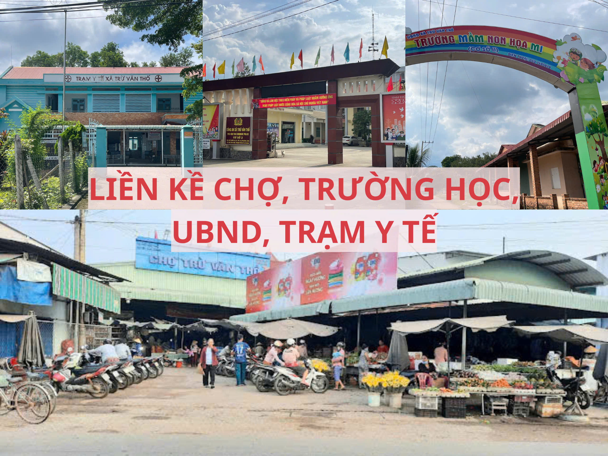 Bán đất mặt tiền đường nhựa có sẵn vườn bưởi tại Trừ Văn Thố Bàu Bàng Bình Dương 2