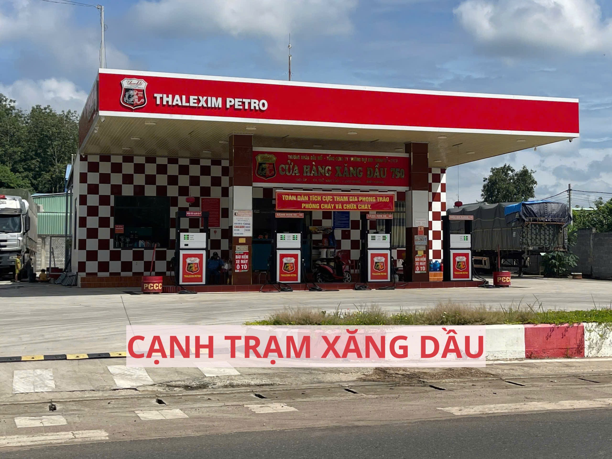 Bán đất mặt tiền đường nhựa có sẵn vườn bưởi tại Trừ Văn Thố Bàu Bàng Bình Dương 4