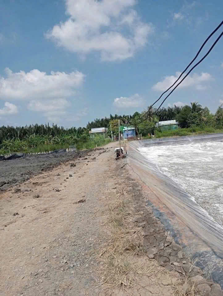 Đất thổ cư 99m2 mt đường 7m xã Tân Chánh giá rẻ đầu tư 450tr nền sót lại 6