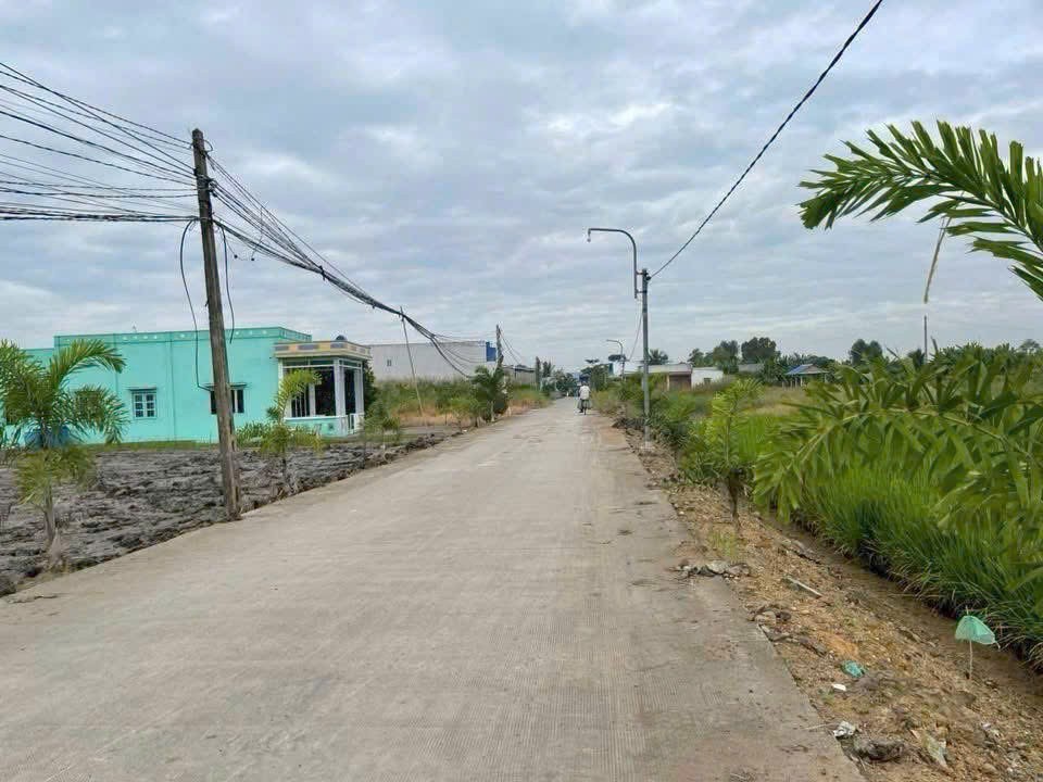 Đất thổ cư 210m2 mt xe hơi xã Tân Lân Chủ xả cuối năm 900tr/nền 2