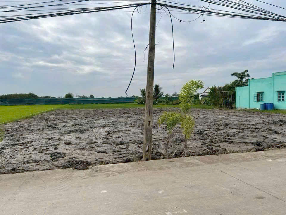 Đất thổ cư 210m2 mt xe hơi xã Tân Lân Chủ xả cuối năm 900tr/nền 3