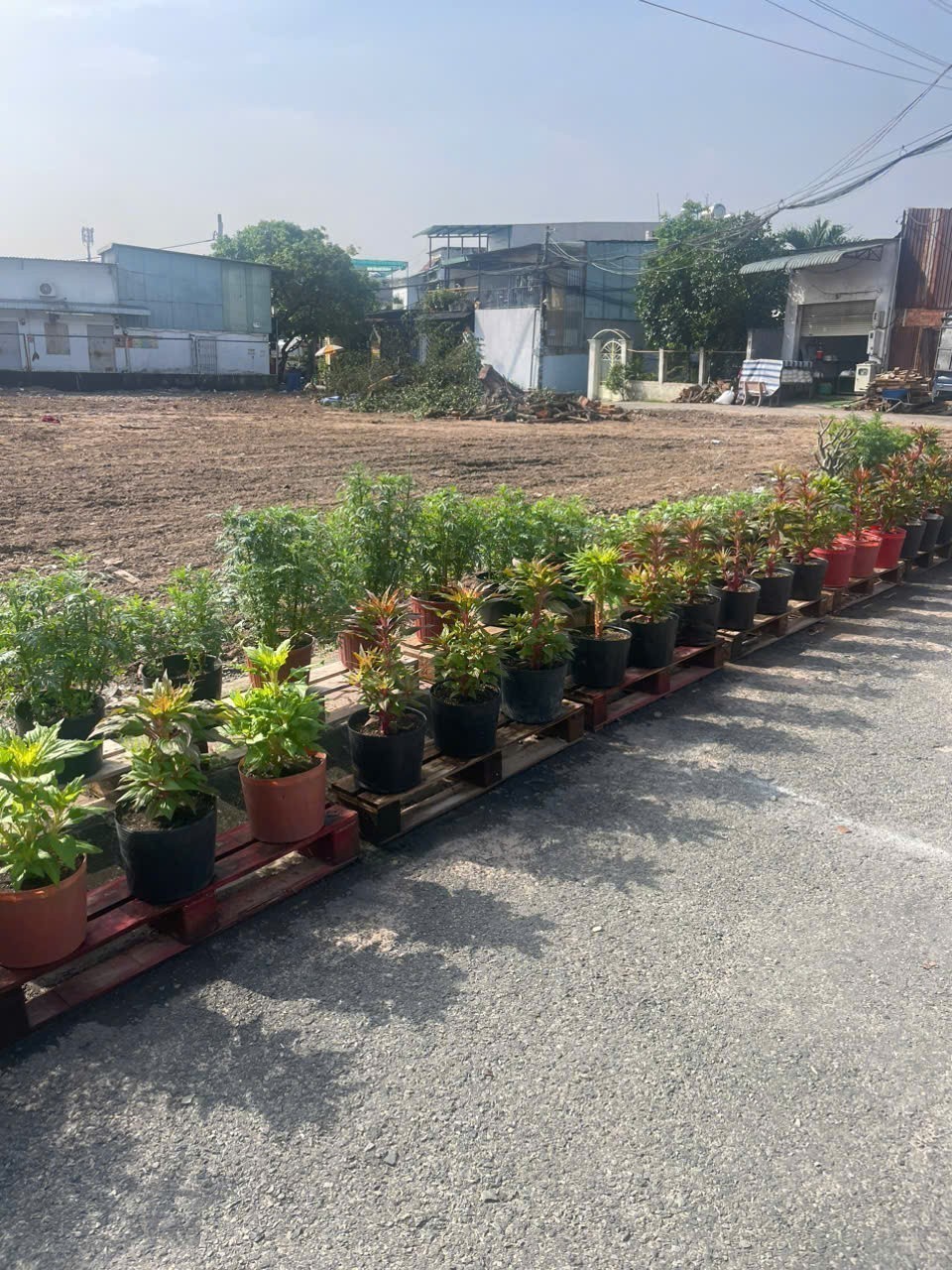 TIN VIP ĐỘC QUYỀN – 8 LÔ ĐẤT MẶT TIỀN ĐÔNG THẠNH, HÓC MÔN 3