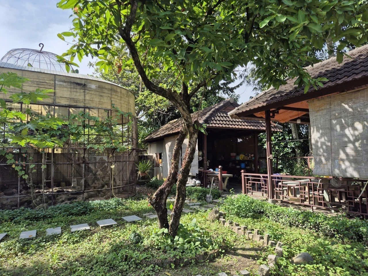 SIÊU PHẨM BIỆT THỰ GỖ SÂN VƯỜN – 2 MẶT TIỀN NHỰA NHỊ BÌNH, HÓC MÔN 2