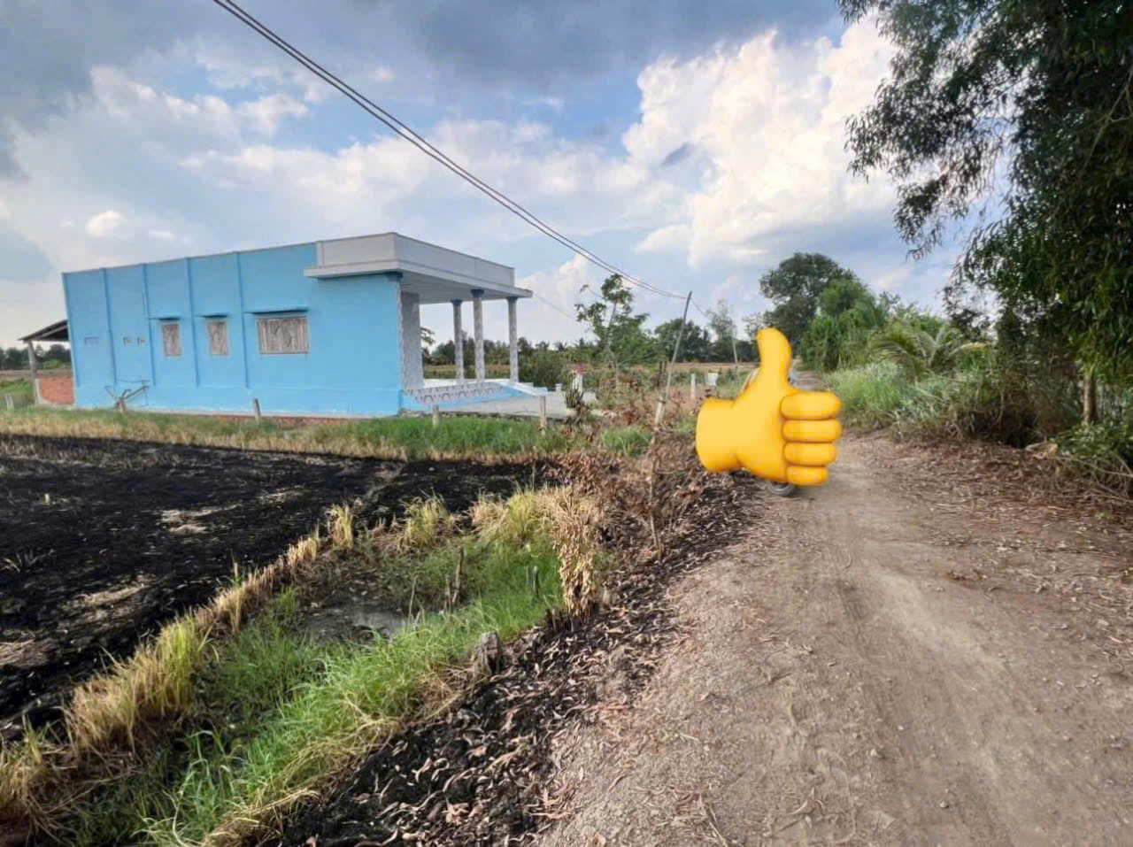 Bán đất thổ + lúa ấp 1 xã Tân Thành, Thủ Thừa tdt 1907m2 ( có 300m2 thổ ) giá 1,99 tỷ 5